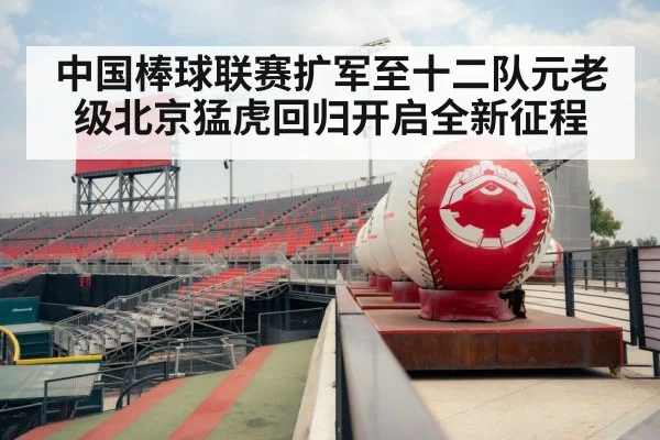 中国棒球联赛扩军至十二队元老级北京猛虎回归开启全新征程